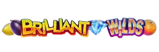 Briliant Wilds εικονίδιο παζλ για επιπλέον λειτουργίες